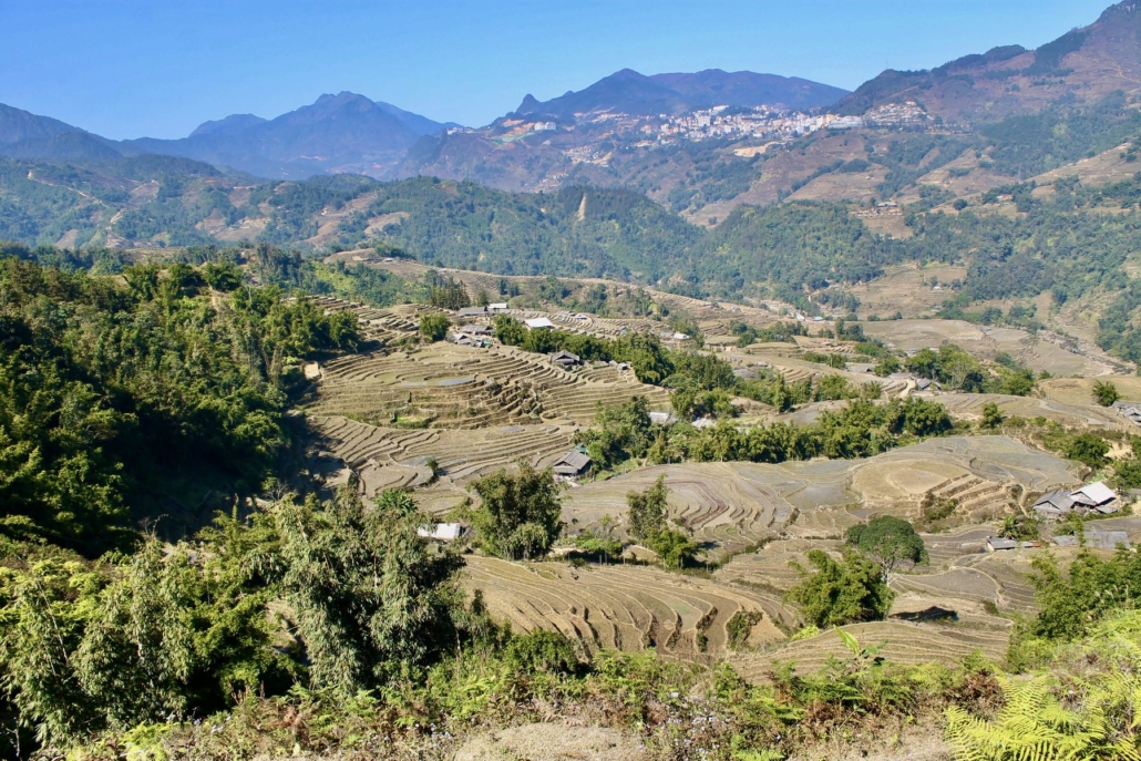 Rice terraces stepping down a hillside in the Sapa region.