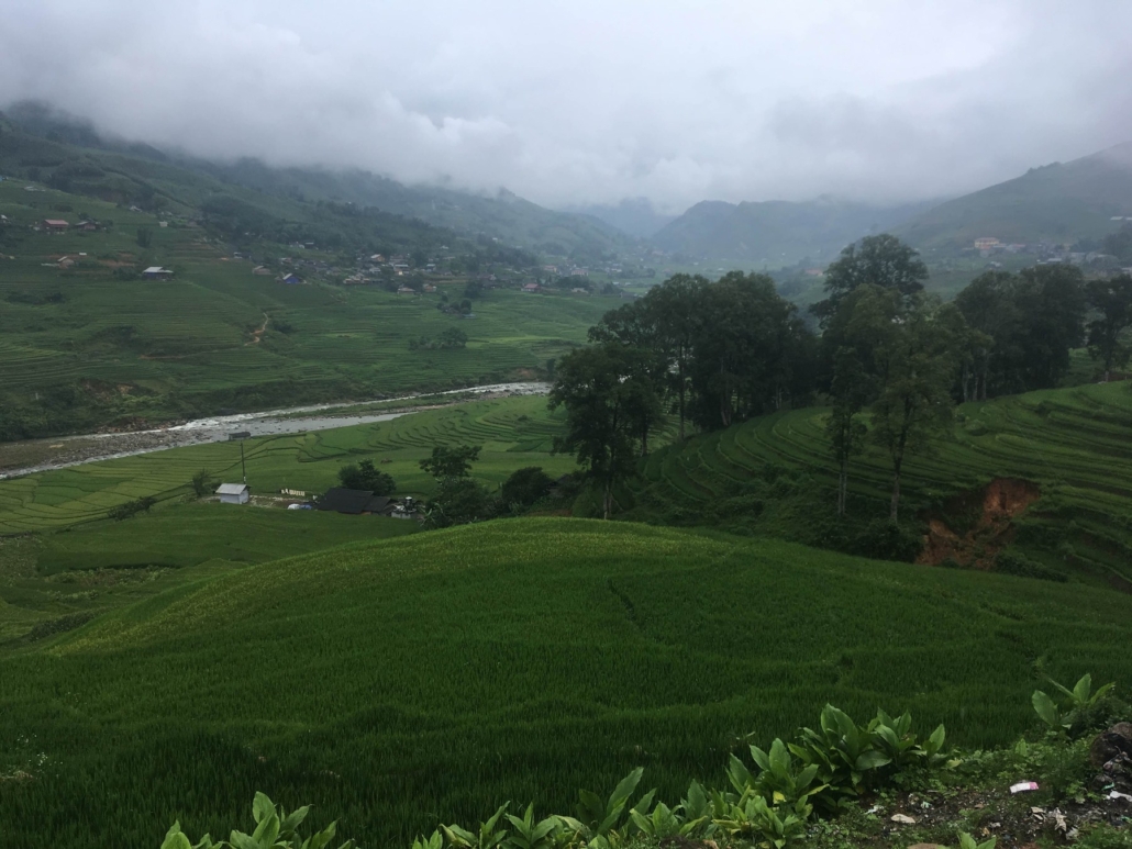 The Muong Hoa valley near Sapa, threaded with rice terraces and villages.