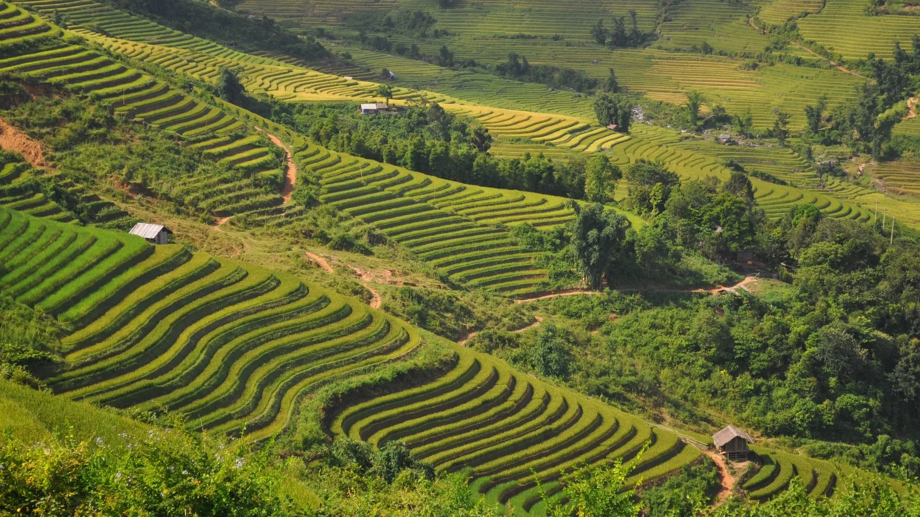 Topas Ecolodge, Sapa: granite, cloud and rice terraces | Cosmopolitan Courier